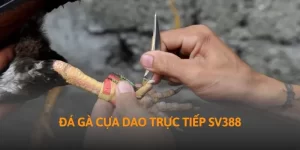 da-ga-cua-dao-truc-tiep-sv388-thumb_59_11zon
