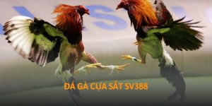da-ga-cua-sat-sv388-thumb