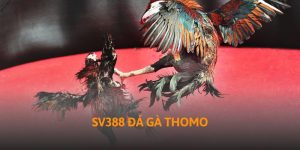 sv388-da-ga-thomo-thumb