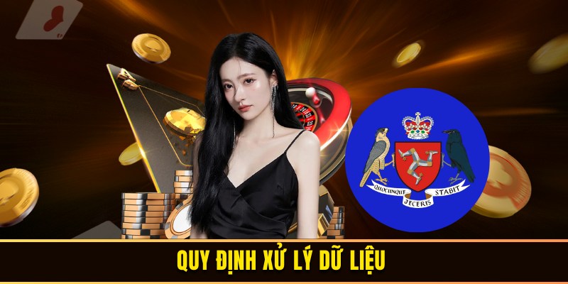Các quy trình xử lý dữ liệu tại SV388